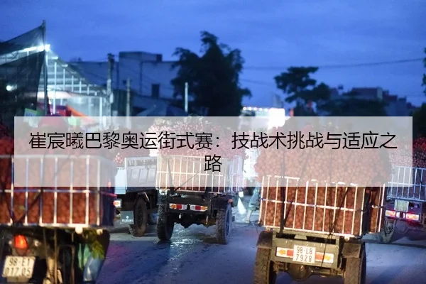 崔宸曦巴黎奥运街式赛：技战术挑战与适应之路